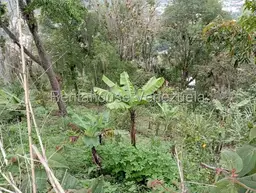 View 88