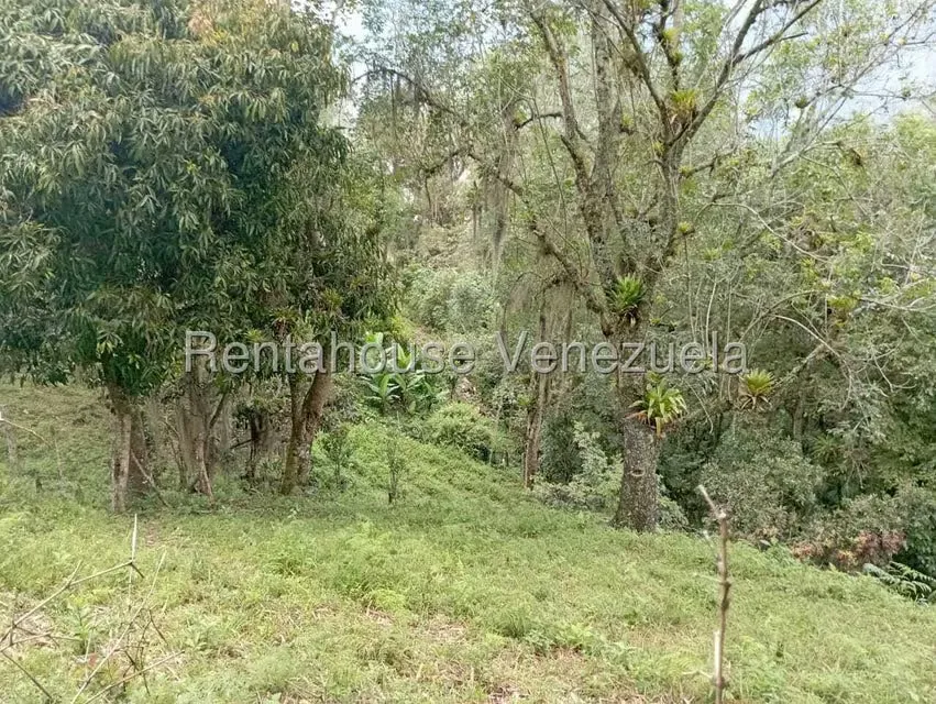 Terreno (Finca) en Venta en El Rincon, Merida - 89