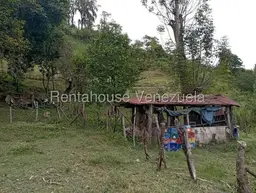 View 91