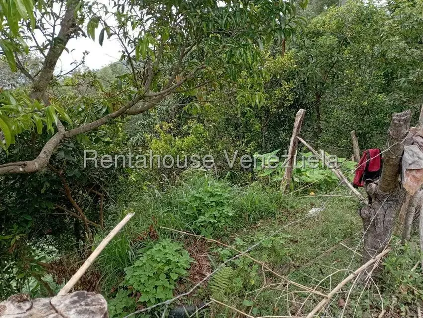 Terreno (Finca) en Venta en El Rincon, Merida - 94