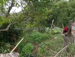View 94