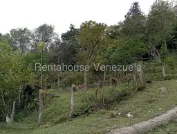View 95