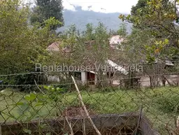 View 98