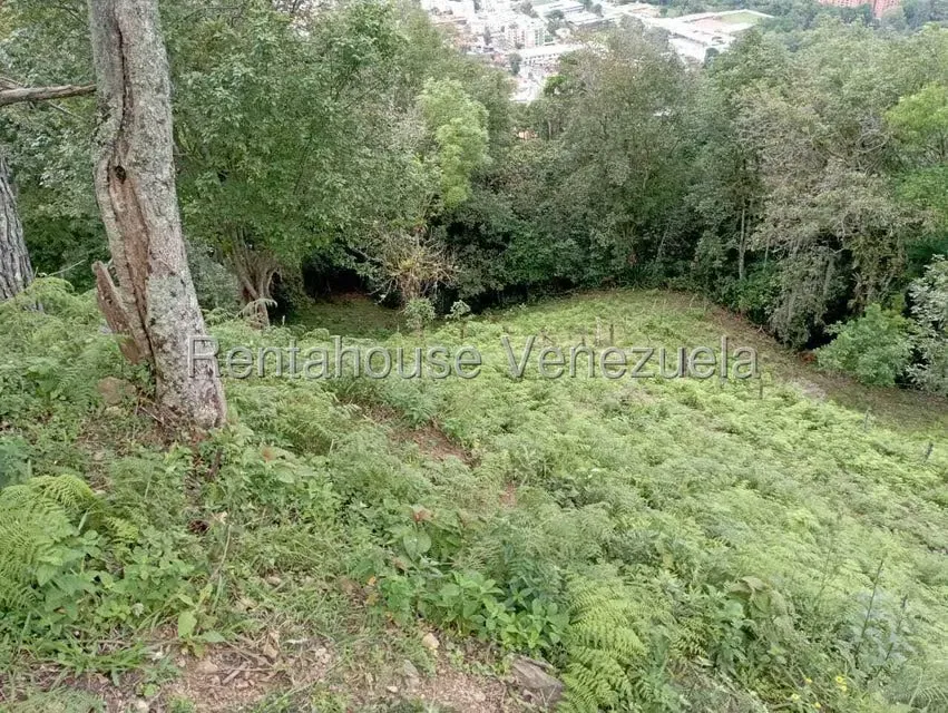 Terreno (Finca) en Venta en El Rincon, Merida - 99