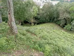 View 99