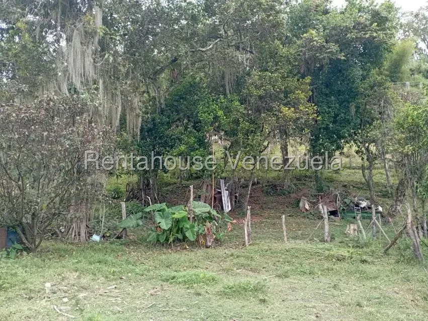 Terreno (Finca) en Venta en El Rincon, Merida - 100