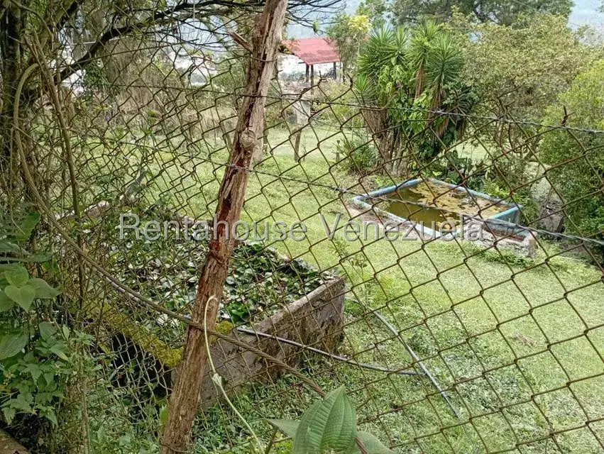 Terreno (Finca) en Venta en El Rincon, Merida - 10