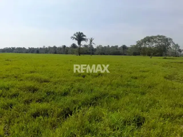 SE VENDE FINCA EN SAN JOAQUIN DE NAVAY