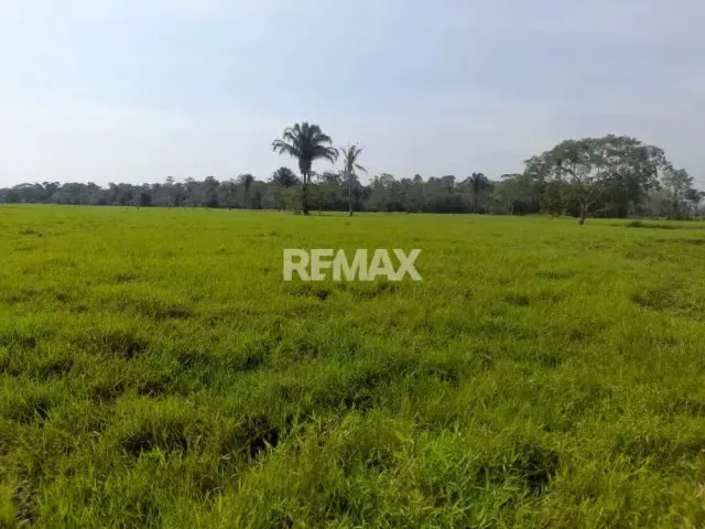 SE VENDE FINCA EN SAN JOAQUIN DE NAVAY