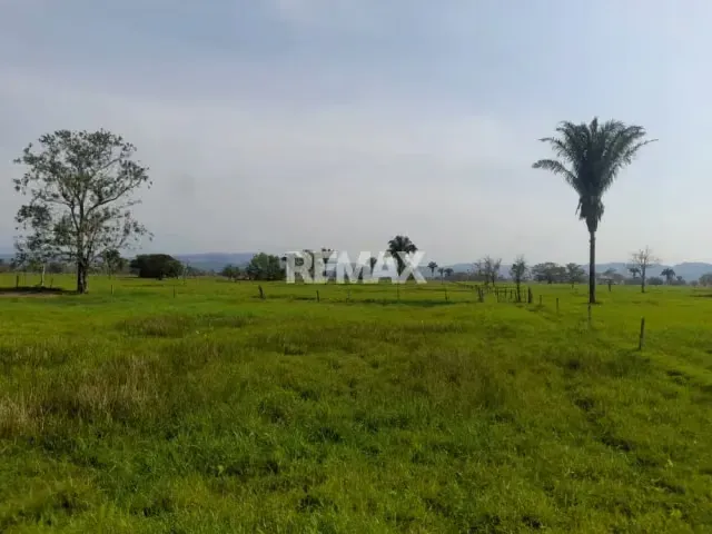 SE VENDE FINCA EN SAN JOAQUIN DE NAVAY - 2
