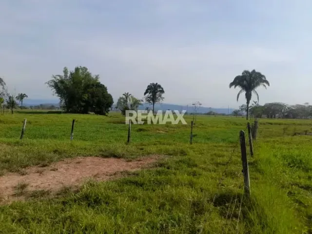 SE VENDE FINCA EN SAN JOAQUIN DE NAVAY - 3