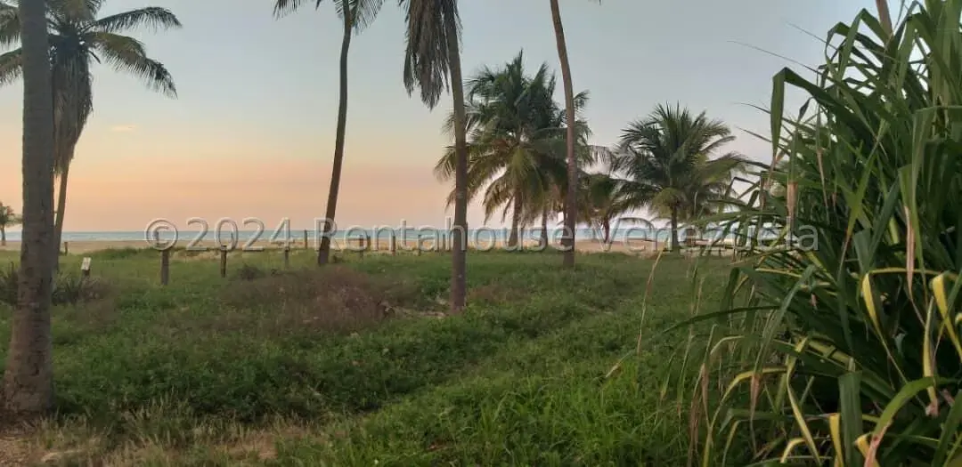 Terreno (Comercial) en Venta en Boulevar, Anzoategui - 2