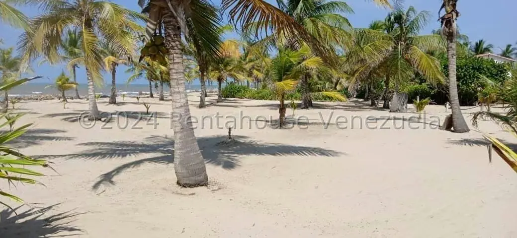 Terreno (Comercial) en Venta en Boulevar, Anzoategui - 6