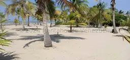 Vista 6