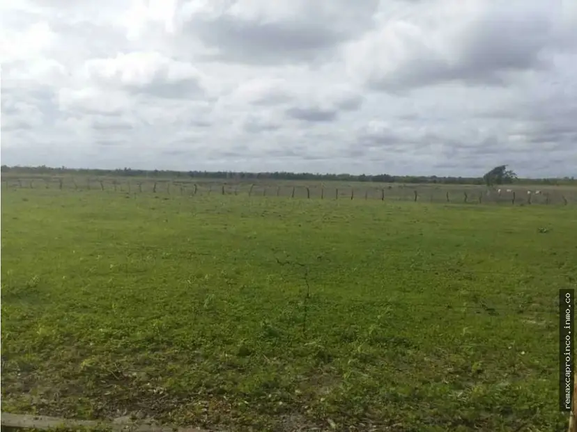 FINCA PARA GANADERIA Y AGRICULTURA EN ZUATA. ANZOATEGUI. PRIVADAS.