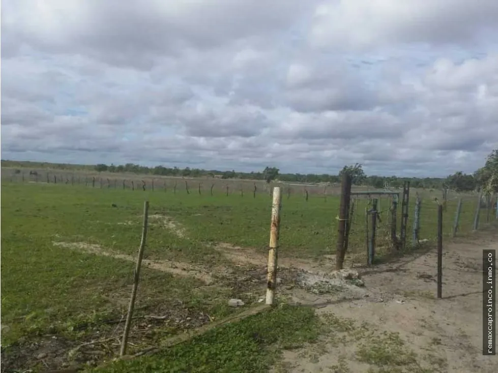 FINCA PARA GANADERIA Y AGRICULTURA EN ZUATA. ANZOATEGUI. PRIVADAS. - 11