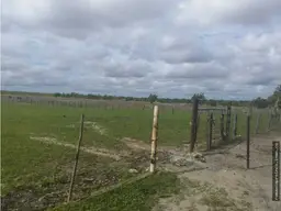 View 11