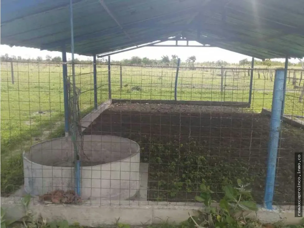 FINCA PARA GANADERIA Y AGRICULTURA EN ZUATA. ANZOATEGUI. PRIVADAS. - 12