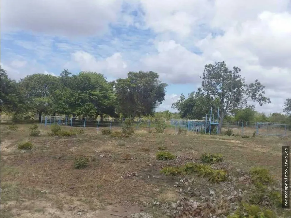 FINCA PARA GANADERIA Y AGRICULTURA EN ZUATA. ANZOATEGUI. PRIVADAS. - 14