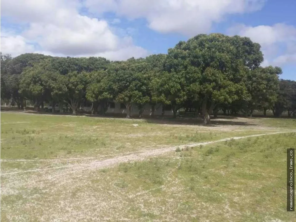 FINCA PARA GANADERIA Y AGRICULTURA EN ZUATA. ANZOATEGUI. PRIVADAS. - 15