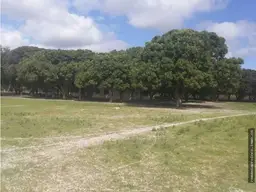 View 15