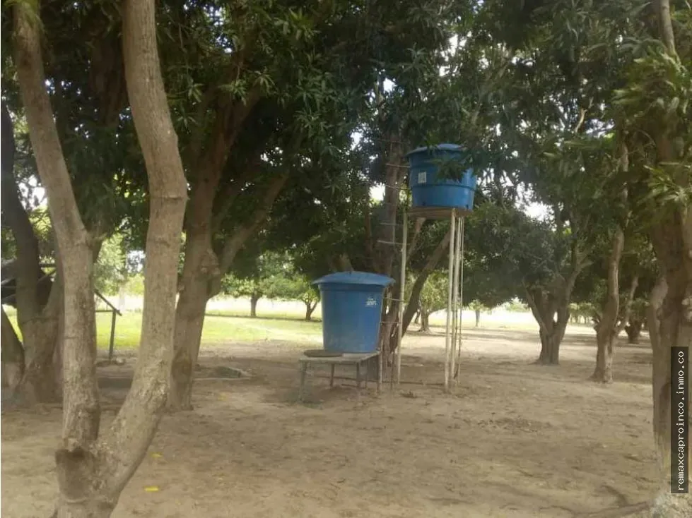 FINCA PARA GANADERIA Y AGRICULTURA EN ZUATA. ANZOATEGUI. PRIVADAS. - 16