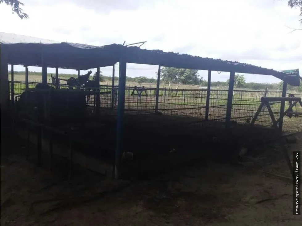 FINCA PARA GANADERIA Y AGRICULTURA EN ZUATA. ANZOATEGUI. PRIVADAS. - 19