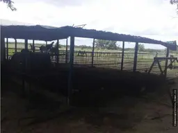 View 19