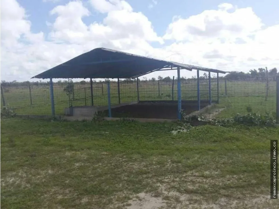 FINCA PARA GANADERIA Y AGRICULTURA EN ZUATA. ANZOATEGUI. PRIVADAS. - 21