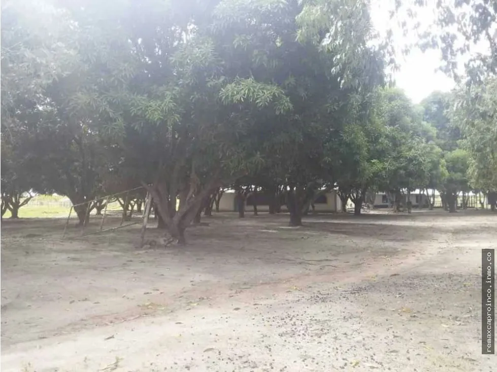 FINCA PARA GANADERIA Y AGRICULTURA EN ZUATA. ANZOATEGUI. PRIVADAS. - 22