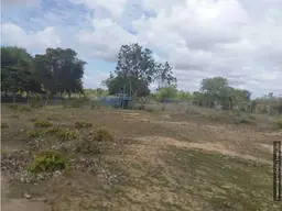 View 23