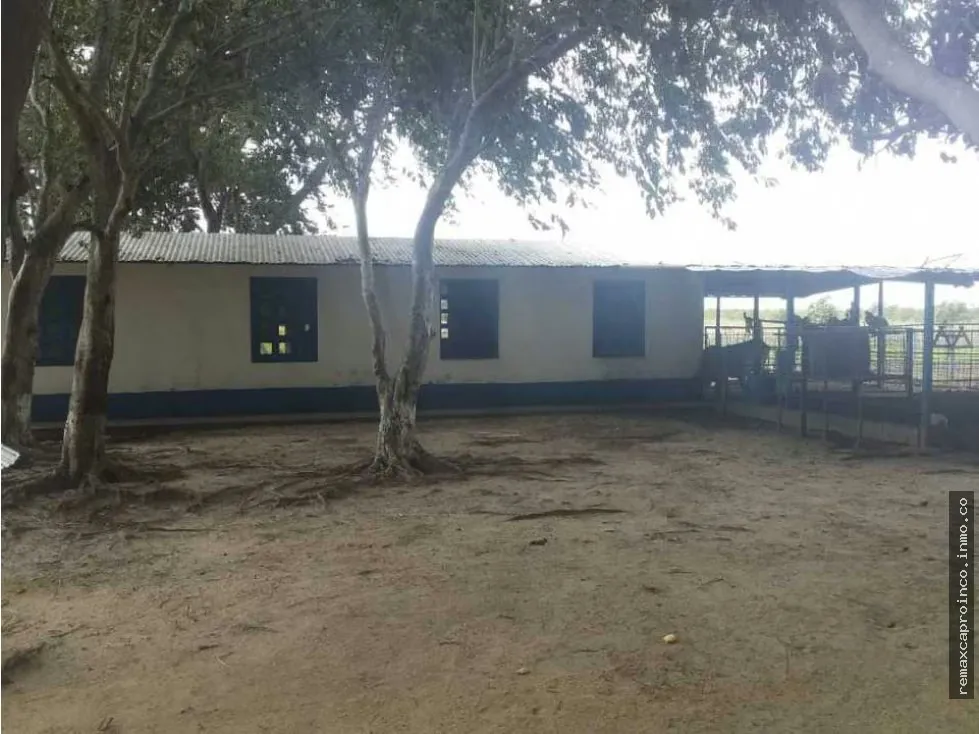 FINCA PARA GANADERIA Y AGRICULTURA EN ZUATA. ANZOATEGUI. PRIVADAS. - 4