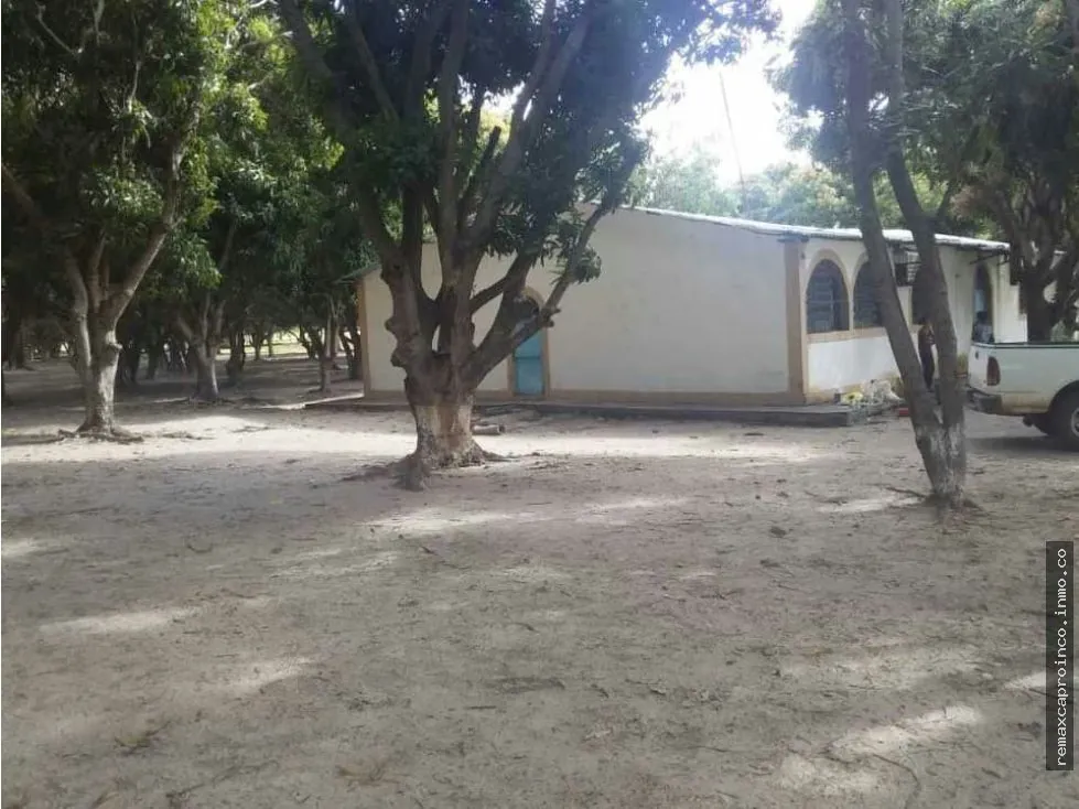 FINCA PARA GANADERIA Y AGRICULTURA EN ZUATA. ANZOATEGUI. PRIVADAS. - 5