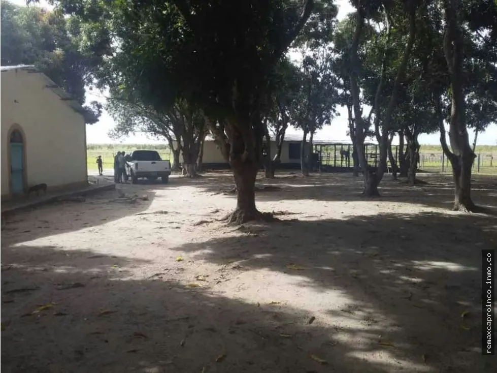 FINCA PARA GANADERIA Y AGRICULTURA EN ZUATA. ANZOATEGUI. PRIVADAS. - 6