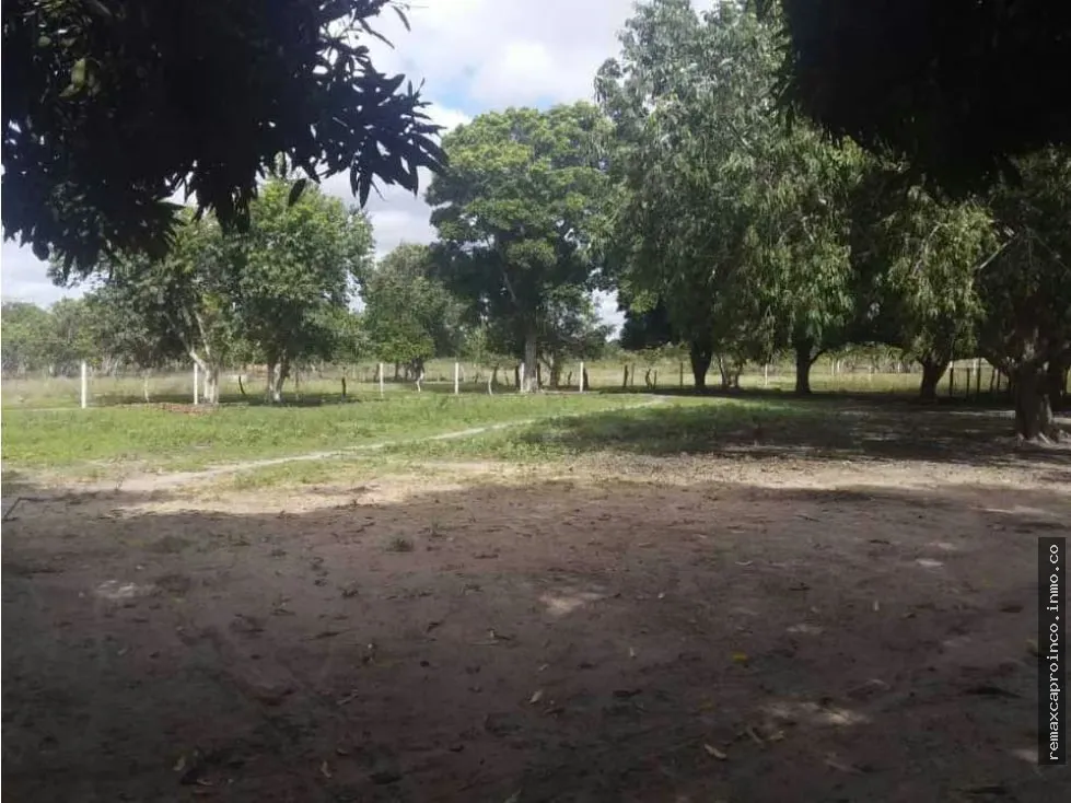 FINCA PARA GANADERIA Y AGRICULTURA EN ZUATA. ANZOATEGUI. PRIVADAS. - 7