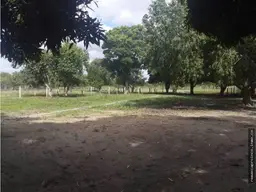 View 7