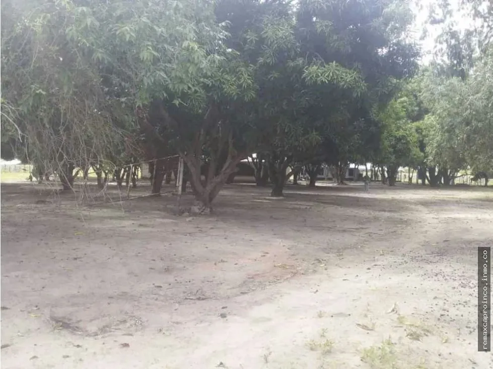 FINCA PARA GANADERIA Y AGRICULTURA EN ZUATA. ANZOATEGUI. PRIVADAS. - 8