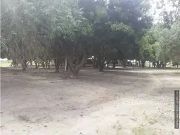View 8