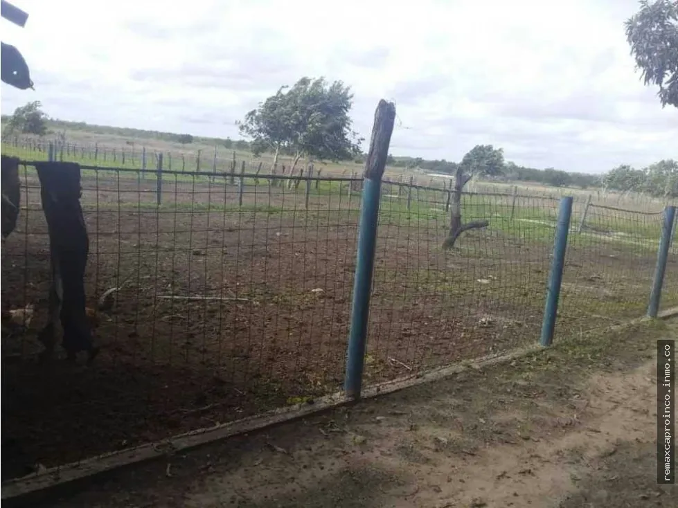 FINCA PARA GANADERIA Y AGRICULTURA EN ZUATA. ANZOATEGUI. PRIVADAS. - 9