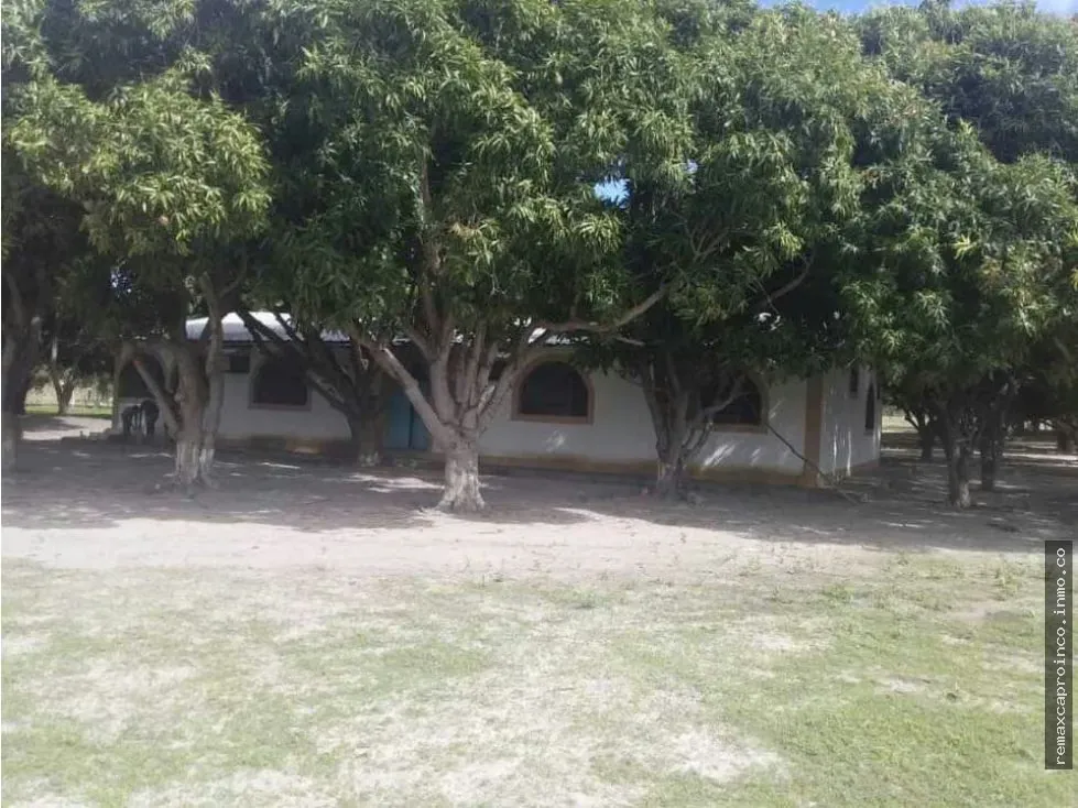 FINCA PARA GANADERIA Y AGRICULTURA EN ZUATA. ANZOATEGUI. PRIVADAS. - 10