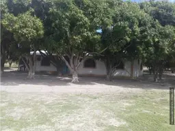 View 10
