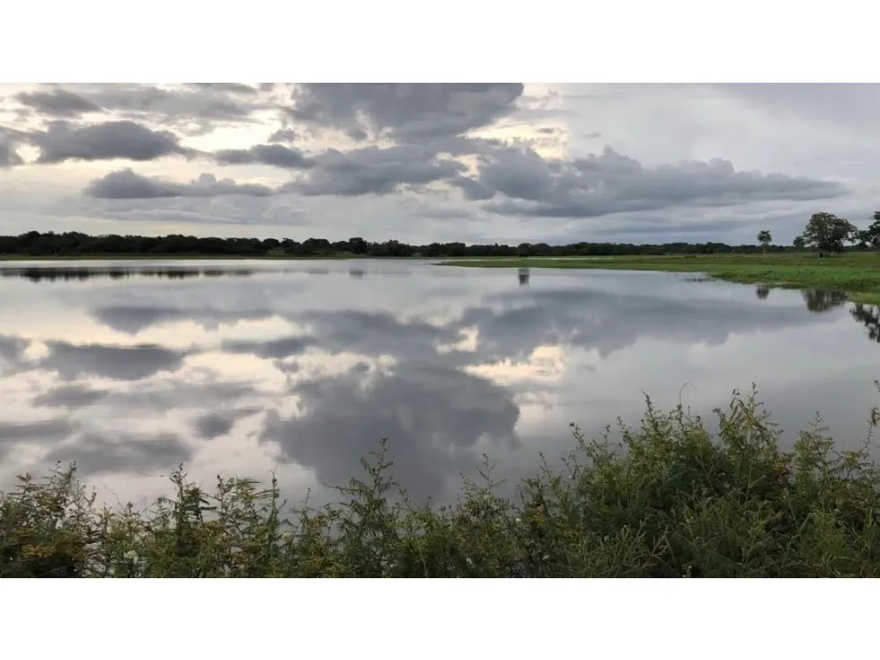 Vendo finca mecanizada agrícola y ganadera 3200Ha Guárico 2783 - 2