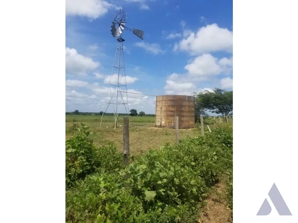 Vendo finca mecanizada agrícola y ganadera 3200Ha Guárico 2783 - 12