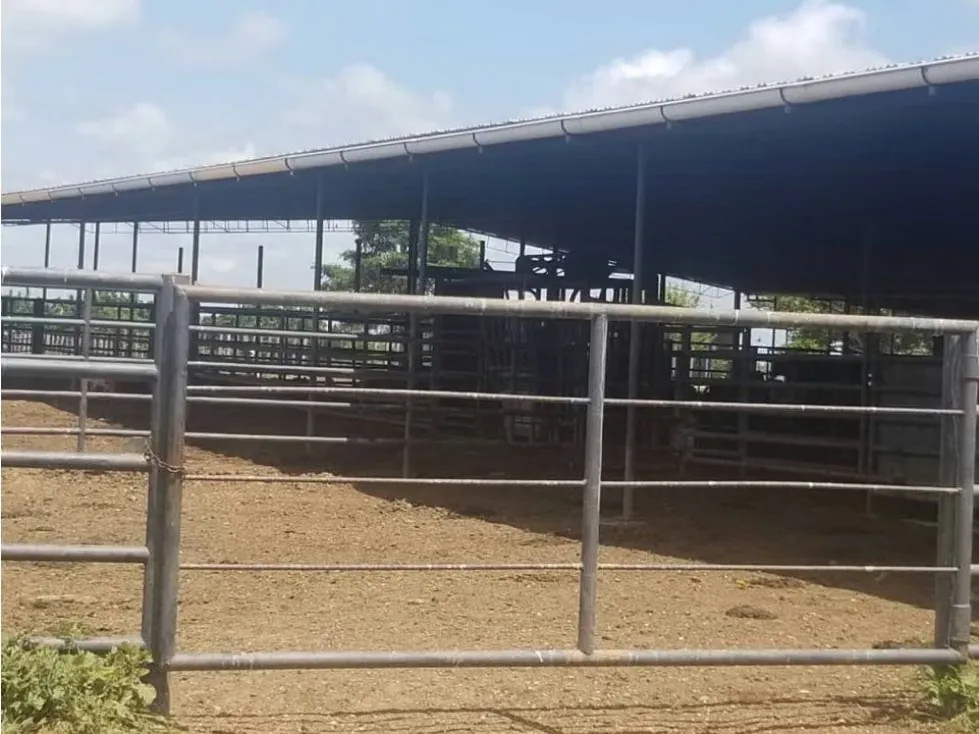 Vendo finca mecanizada agrícola y ganadera 3200Ha Guárico 2783 - 13