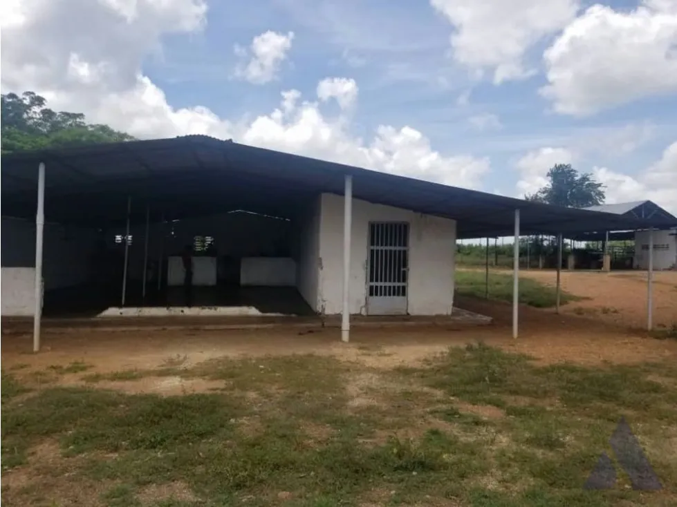 Vendo finca mecanizada agrícola y ganadera 3200Ha Guárico 2783 - 16