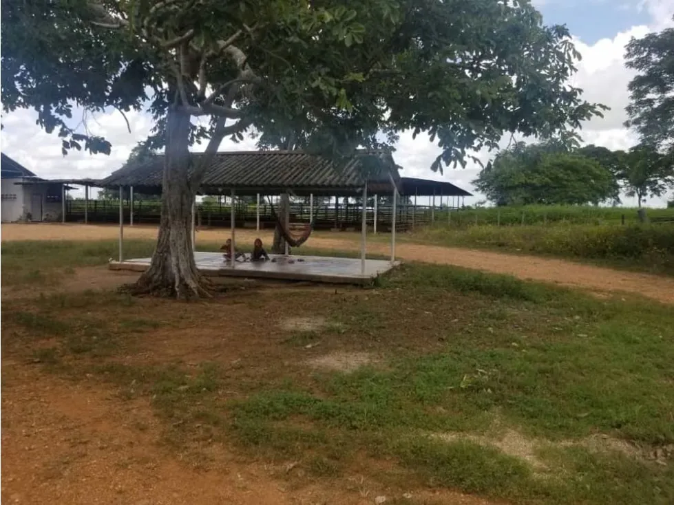 Vendo finca mecanizada agrícola y ganadera 3200Ha Guárico 2783 - 17