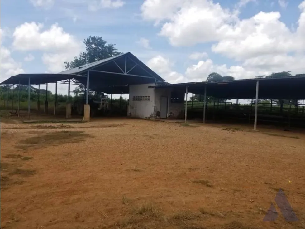 Vendo finca mecanizada agrícola y ganadera 3200Ha Guárico 2783 - 18