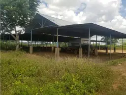 View 19