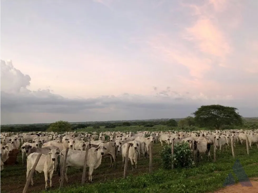 Vendo finca mecanizada agrícola y ganadera 3200Ha Guárico 2783 - 3