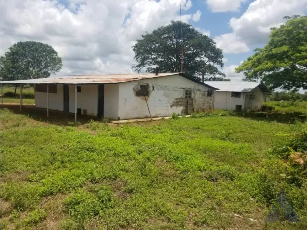 Vendo finca mecanizada agrícola y ganadera 3200Ha Guárico 2783 - 21